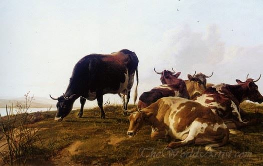 Cattle Resting Beside A River