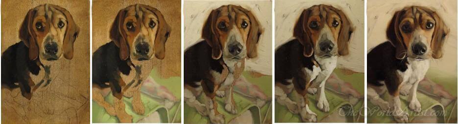 hand painted dog portrait on canvas in progress 