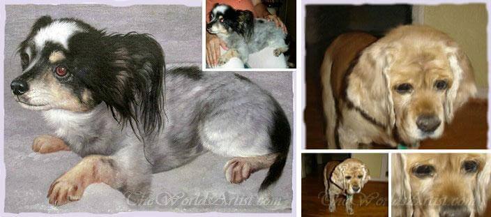 dog portrait on canvas from photos