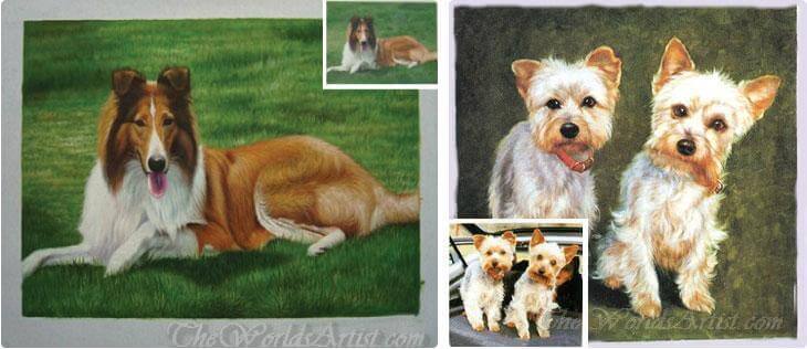 pet photos made into a pet portrait