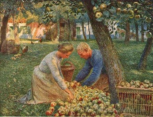 Orchard In Flanders
