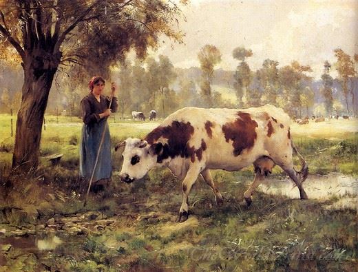 Cows At Pasture