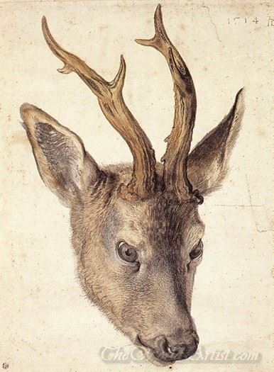 Head Of A Stag