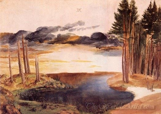 Pond In The Woods