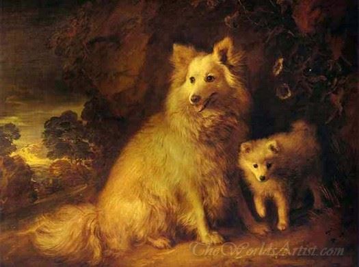 Pomeranian Bitch And Puppy
