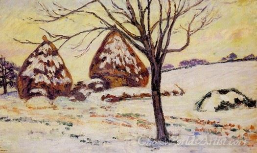 Palaiseau Snow Effect