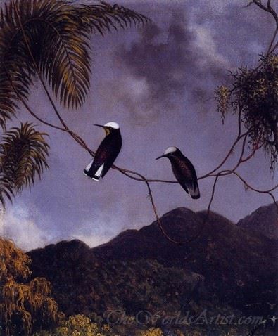 Snowcap Birds