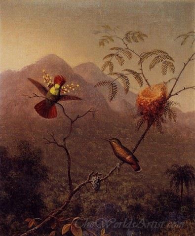 Tufted Coquette