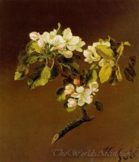 A Spray Of Apple Blossoms 