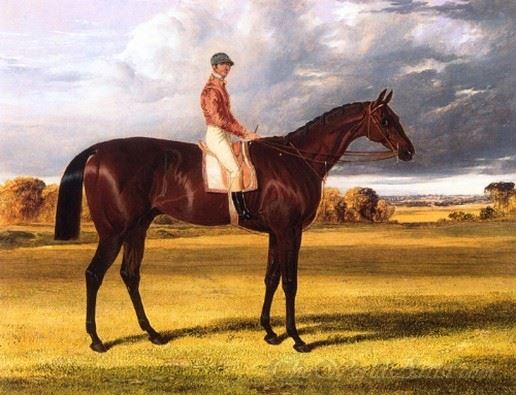 Amato 1838 Derby Winner
