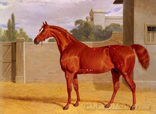 Comus A Chestnut Racehorse In A Stable Yard