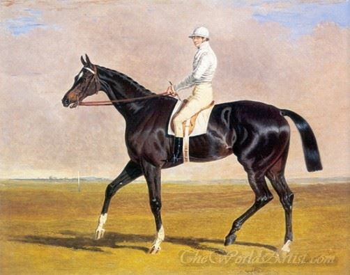 Lucetta With Jockey Up 1834