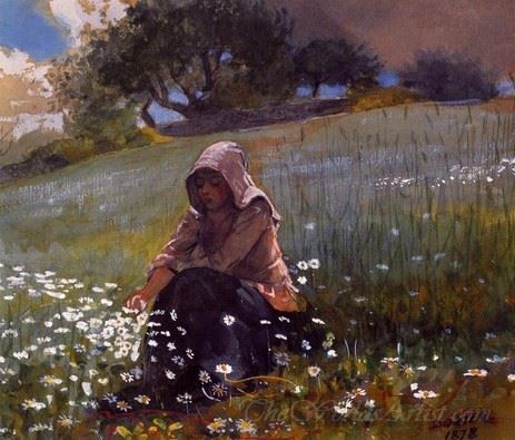 Girl And Daisies