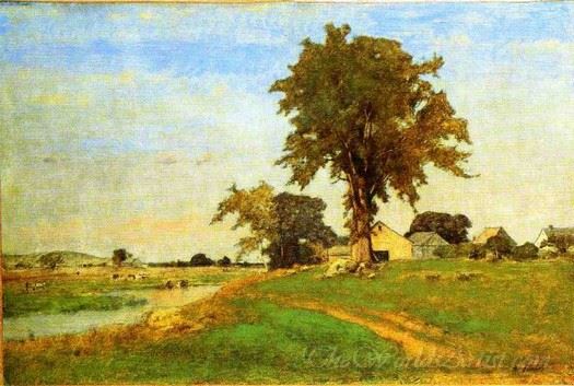 Old Elm At Medfield