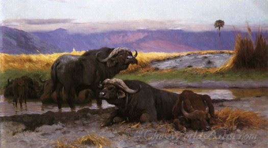 Buffalo Along The Riverbank