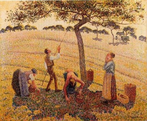 Apple Harvest At Eragny 
