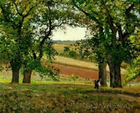 Chestnut Trees At Osny