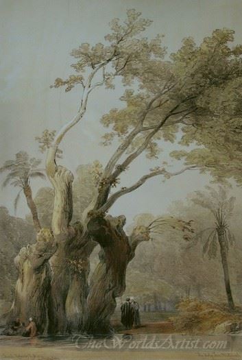 The Holy Tree Of Metereah