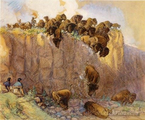 Driving Buffalo Over The Cliff