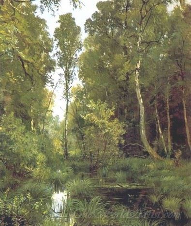 Overgrown Pond On Edge Of Forest Siverskaya