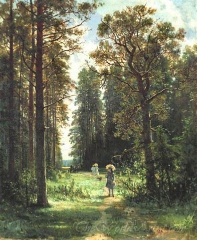 Path In A Forest