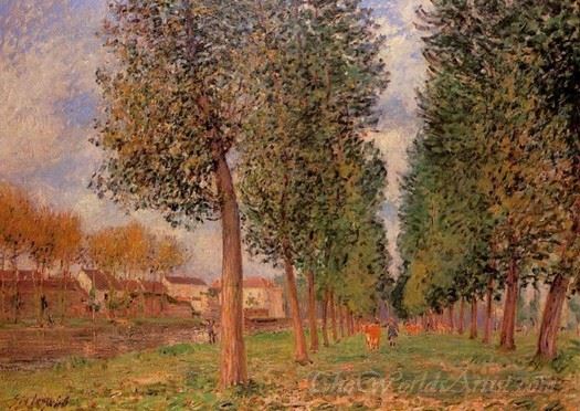 The Poplar Avenue At Moret Cloudy Day Morning