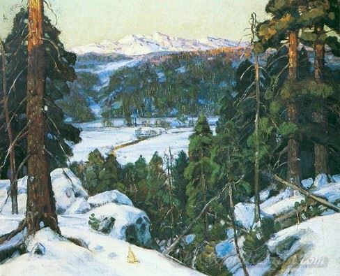 Pines In Winter