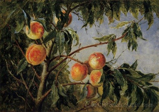 Peaches