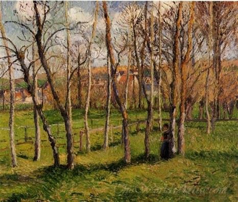 Meadow At Bazincourt