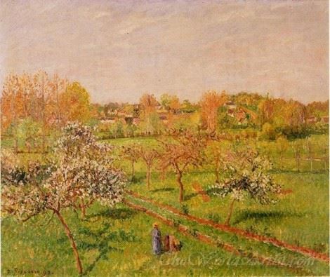 Morning Flowering Apple Trees Eragny