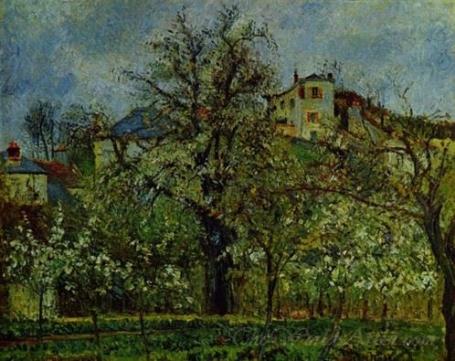 Obstgarten With Flowering Trees