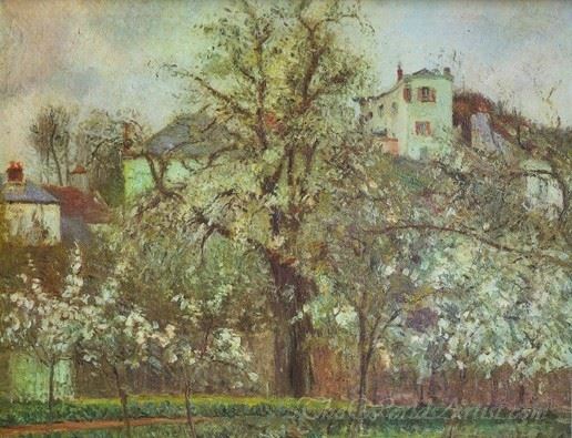 Orchard And Trees With Flowers Spring Pontoise