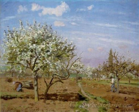 Orchard In Bloom Louveciennes
