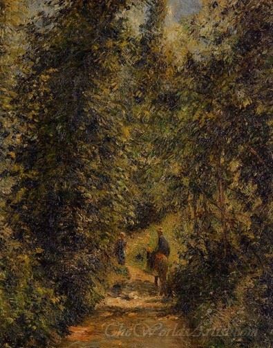 Path Under The Trees Summer