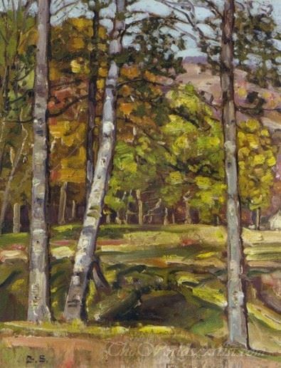 Spring Landscape