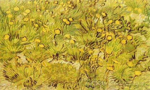 A Field Of Yellow Flowers