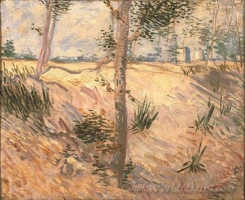 Arbre Dans Un Champ (Tree In A Field)