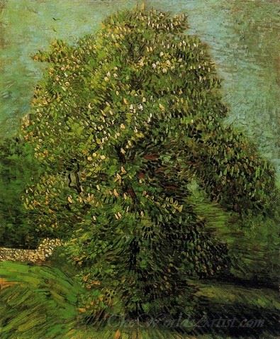 Chestnut Tree In Bloom
