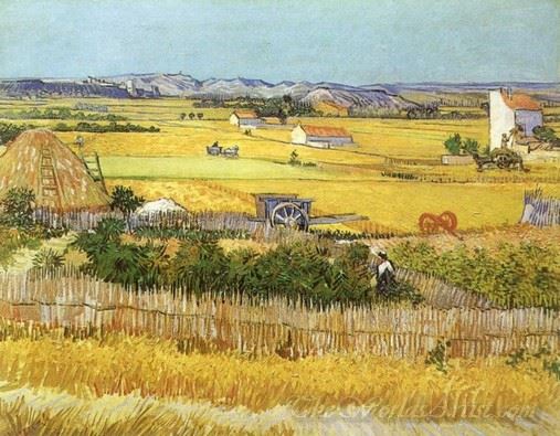 Harvest At La Crau With Montmaiour In The Background