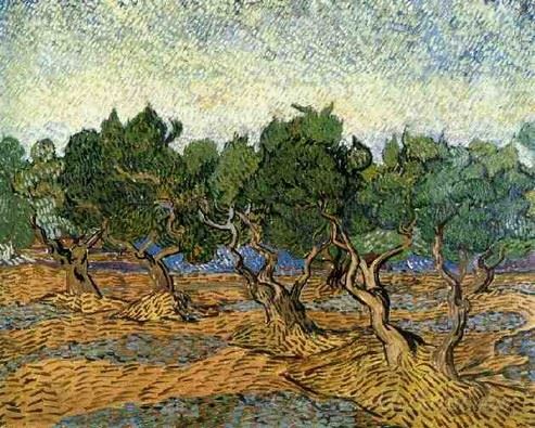 Les Oliviers 1889 (Olive Trees)