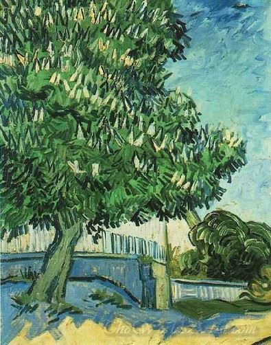 Marronnier En Fleur (Chestnut In Bloom)