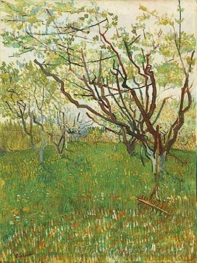Orchard In Blossom