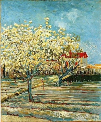 Orchard In Blossom