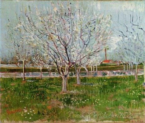 Orchard In Blossom