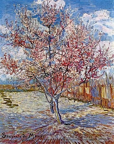 Peach Tree In Bloom In Memory Of Mauve