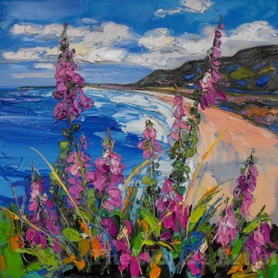 Foxglove Rhossili Bay